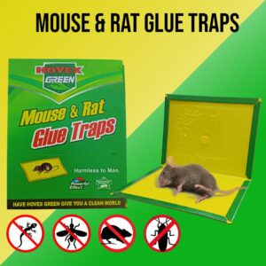 Mouse Killer Glue & Rat Killer Glue Rat Trap Adhesive Sticky Glue Pad Catch Mouse & Rat Glue چوہا گلو کیچ ٹریپ