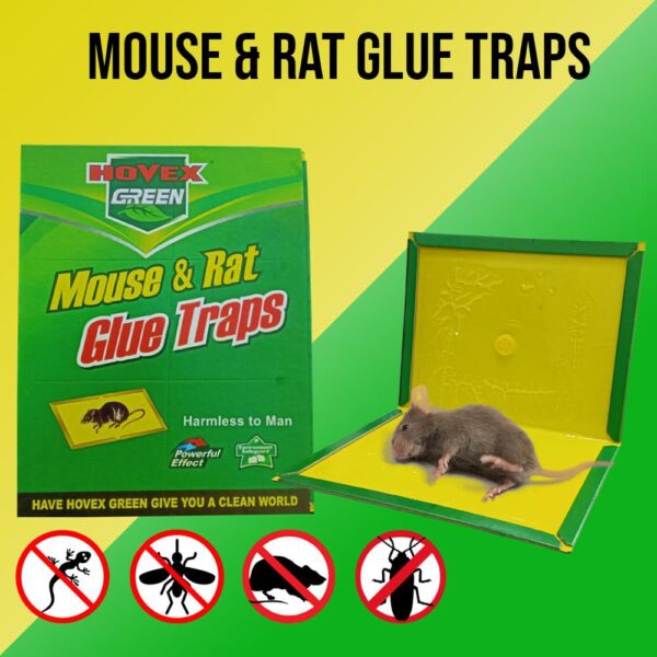 Mouse Killer Glue & Rat Killer Glue Rat Trap Adhesive Sticky Glue Pad Catch Mouse & Rat Glue چوہا گلو کیچ ٹریپ